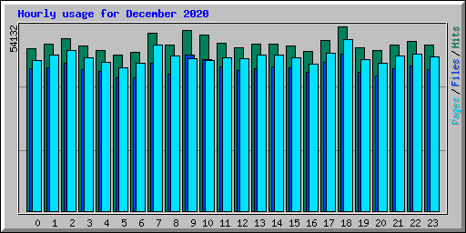 Hourly usage for December 2020