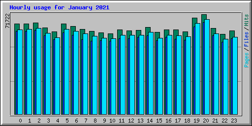 Hourly usage for January 2021